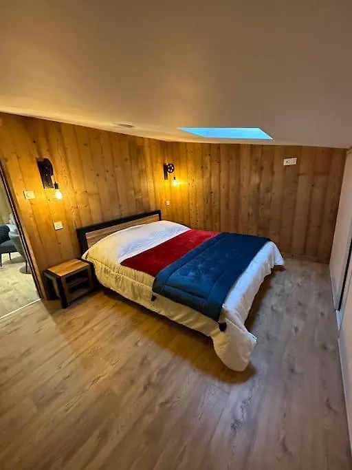 Magnifique Duplex Luxe, Coeur De Station, Ski Au Pied Les Deux Alpes 0*,